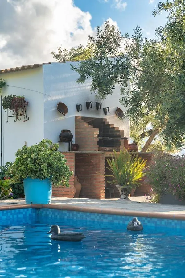 Los Cactus El Gastor